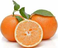 ingredients-honey-glow-serum-04-oren