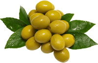 ingredients-honey-glow-serum-06-zaitun